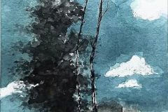 Arbre35
