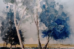 arbre20