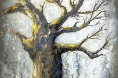 arbre26