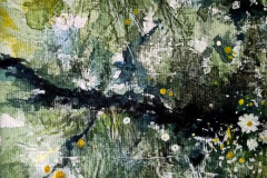 Baltique12