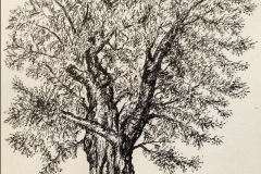 Feutre1