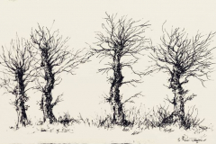 Feutre5