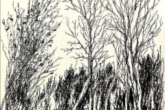 feutre11