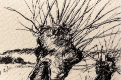 feutre12