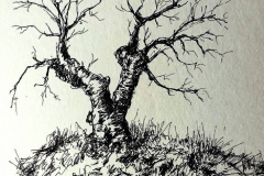 feutre13