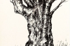 feutre4