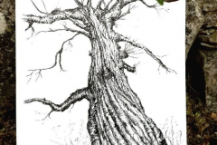 feutre6