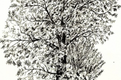 feutre7