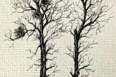 feutre8