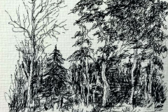 feutre9