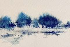 arbre4
