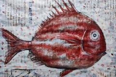 Poisson2