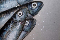 poisson20