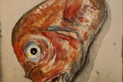 poisson25
