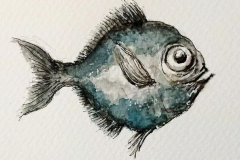 poisson27