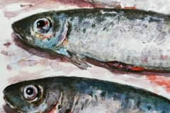 poisson8
